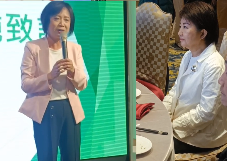 何欣純曾當經著盧秀燕的面說,「我來普發現金」。圖:Newtalk資料照 何欣純曾當經著盧秀燕的面說,「我來普發現金」。圖:Newtalk資料照