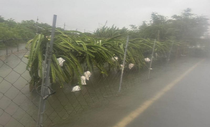 屏東縣受到0822豪雨重創，農損申請補助「從速、從簡、從寬」辦理。&nbsp;&nbsp;&nbsp;圖：屏東縣政府／提供