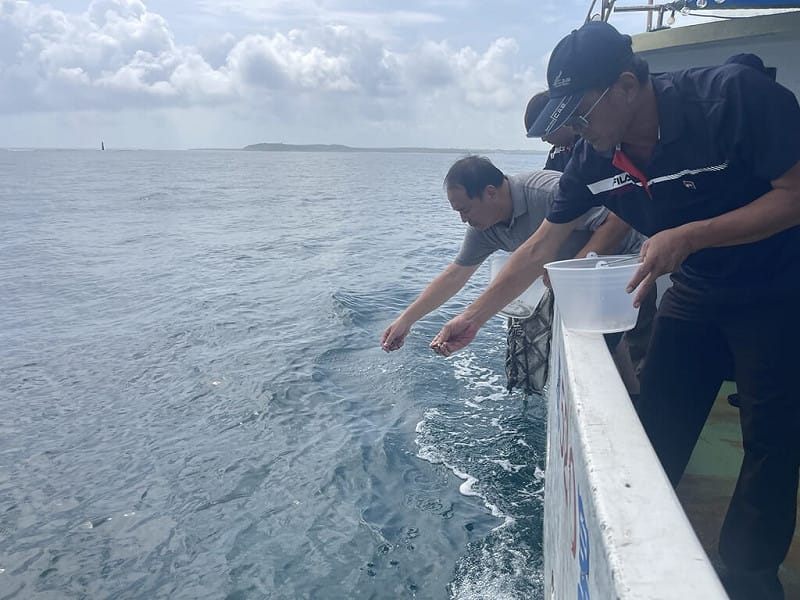 澎湖區漁會27日在澎湖北海及東海等多處珊瑚礁地形海域，放流14萬顆鐘螺幼螺，期透過幼螺放流及種螺自然繁殖，逐步增加澎湖沿岸鐘螺族群數量，為海洋漁業資源注入新生力量。（澎湖區漁會提供）中央社  115年8月27日&nbsp;&nbsp;&nbsp;