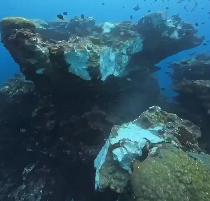 綠島潛水教練27日下水，發現位於柴口海域知名「黑毛礁」斷裂，相當惋惜；研判是25日綠島發生4級地震造成。（綠島潛水教練陳宜禧提供）中央社記者盧太城台東傳真　115年8月28日&nbsp;&nbsp;&nbsp;