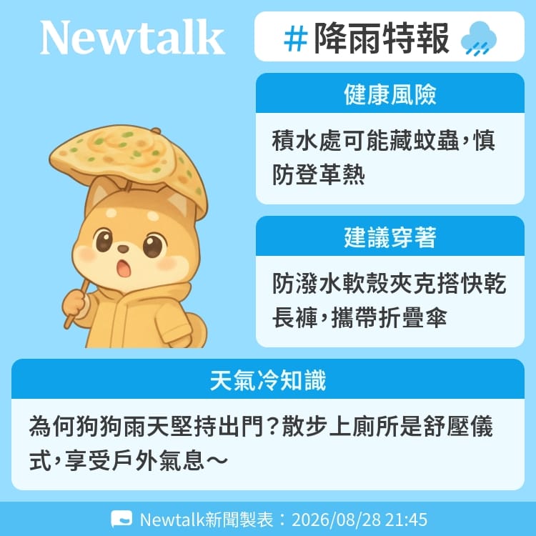 為何狗狗雨天堅持出門？散步上廁所是舒壓儀式，享受戶外氣息～ 圖：Newtalk製表&nbsp;&nbsp;&nbsp;