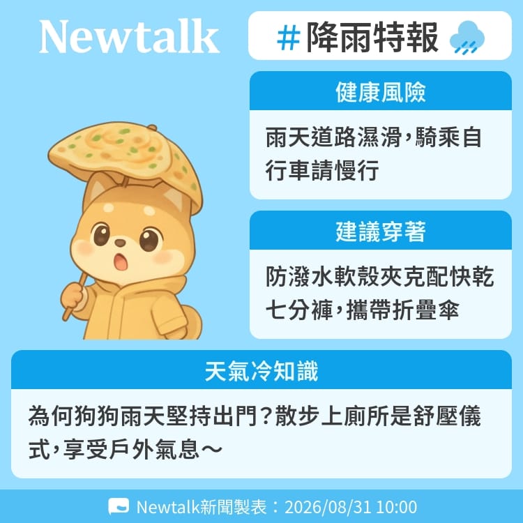 為何狗狗雨天堅持出門？散步上廁所是舒壓儀式，享受戶外氣息～ 圖：Newtalk製表&nbsp;&nbsp;&nbsp;