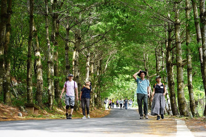 松鶴部落健行，吸引了600位民眾熱情參與。&nbsp;&nbsp;&nbsp;圖：參山處/提供