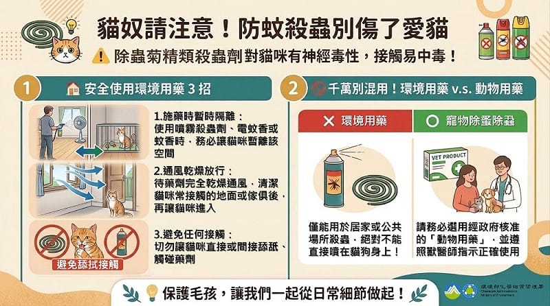 防範貓咪中毒謹慎使用除蟲菊精類環境用藥。&nbsp;&nbsp;&nbsp;圖：環境部化學署／提供