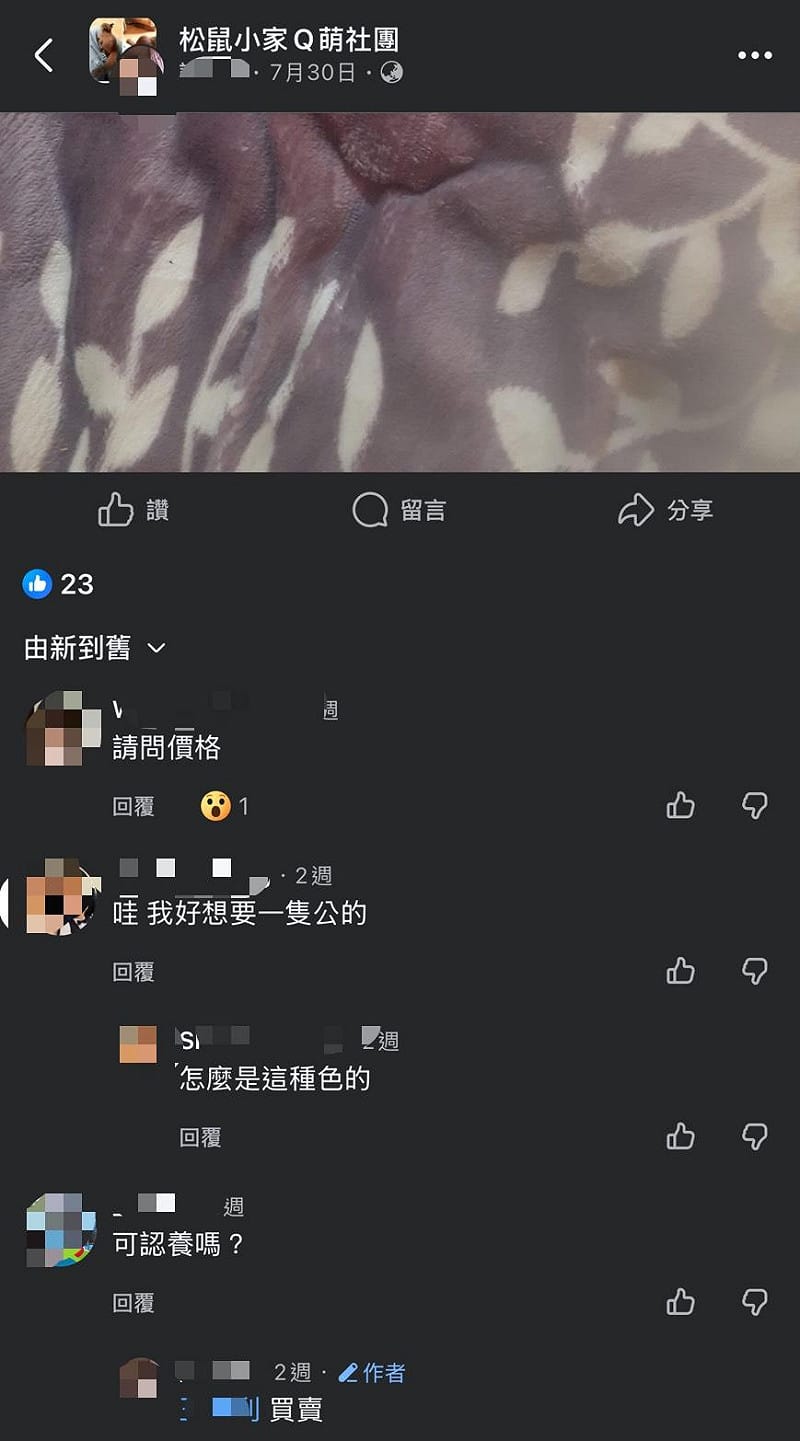 社團內松鼠買賣留言。&nbsp;&nbsp;&nbsp;圖：新北市政府動物保護防疫處／提供