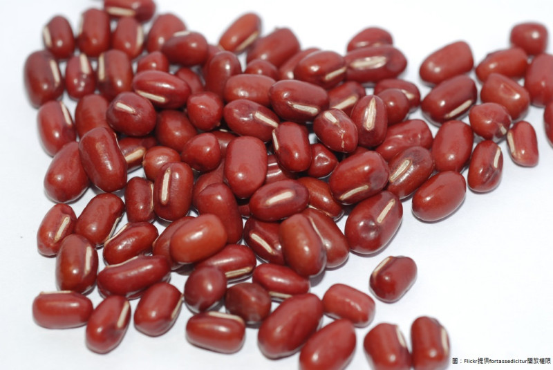 早熟優質好吃的紅豆高雄8號，未來都在大寮區種植囉！圖為紅豆資料畫面   圖：Flickr提供fortassedicitur開放權限