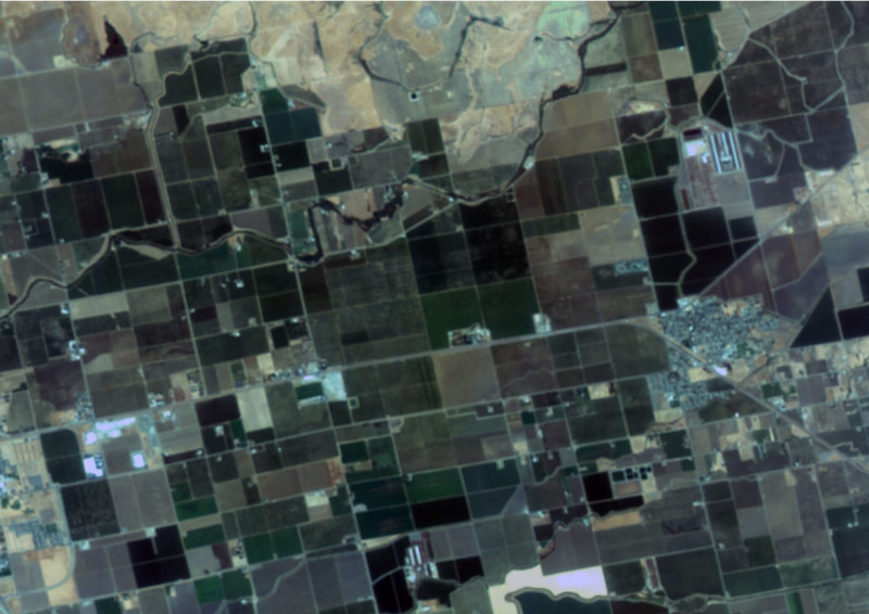 福衛五號校正前的美國加州取像畫面。   圖：太空中心提供