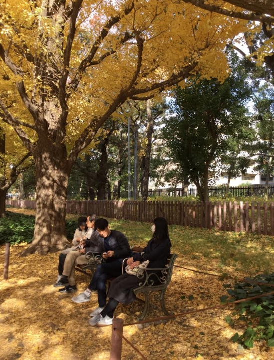 在黃金地毯上享受秋日美景的遊客。   圖：劉黎兒/攝