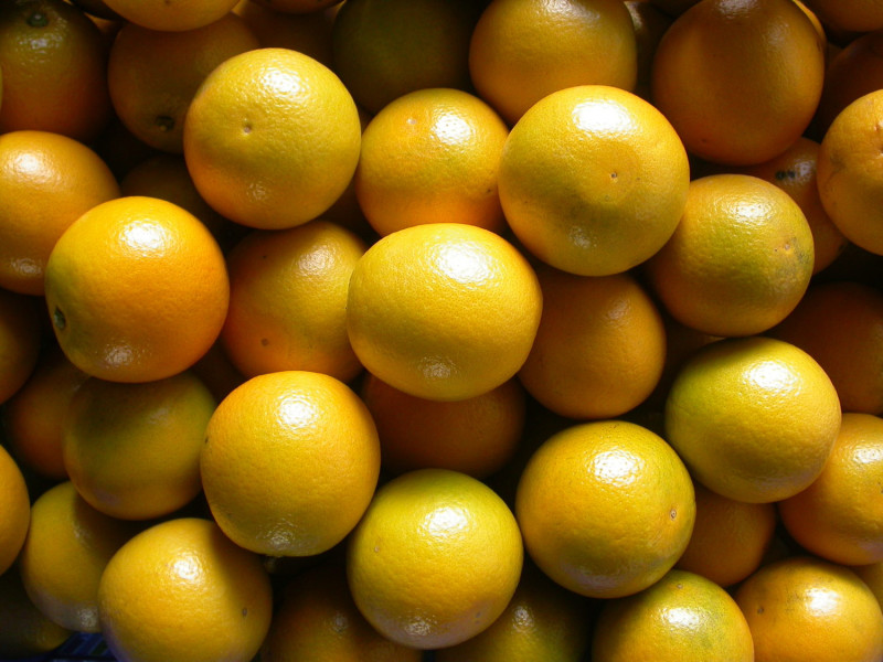 11至1月間都是柳丁的產季。   圖：農委會台南農改場提供