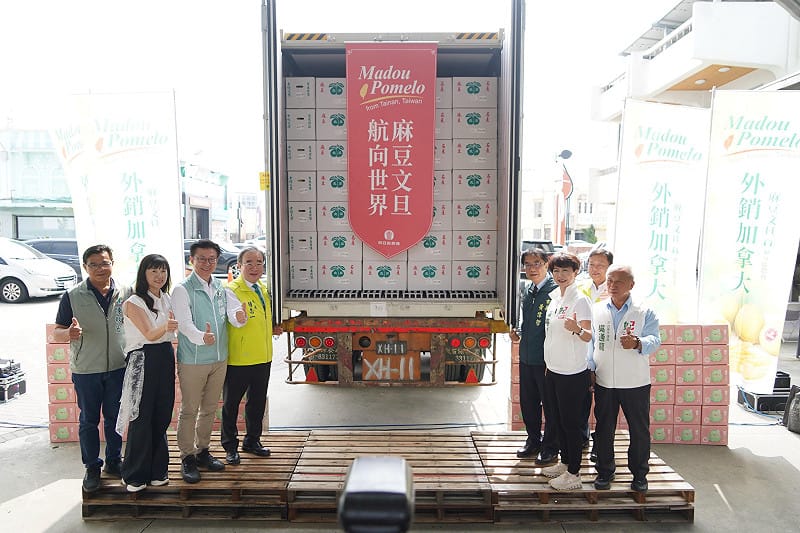 加拿大人也愛麻豆文旦!首批30公噸銷出 再追加第3貨櫃