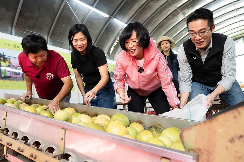(影)中秋摘柚子!蘇巧慧率議員體驗柚子醋 暢談休閒農業政見