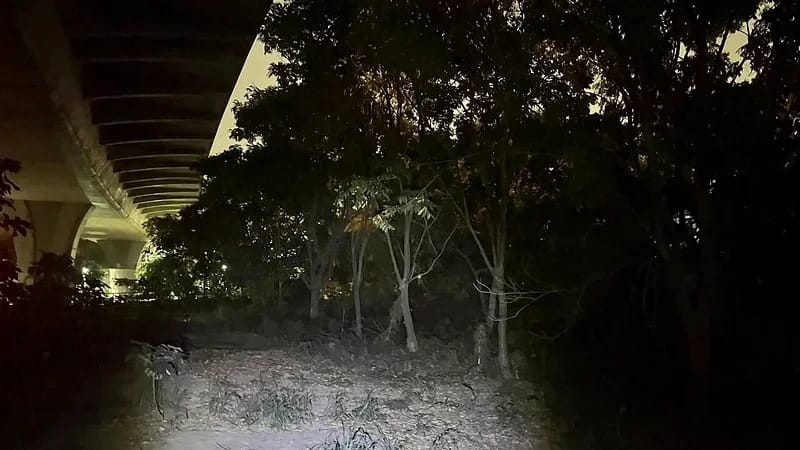 台74大塞車男子突離車墜橋身亡!母親目睹驚悚過程失聲痛哭