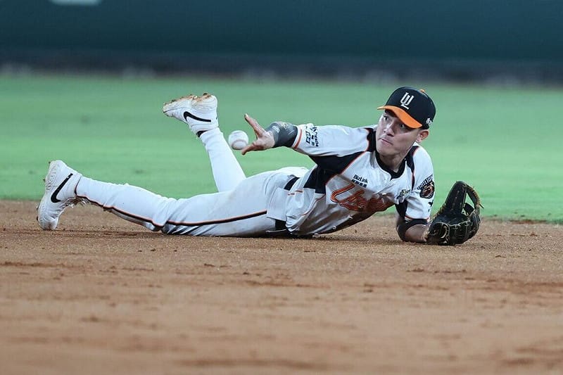 林岳平讚陳聖平助獅守住勝利 透露獅帝芬挑戰賽中繼考量