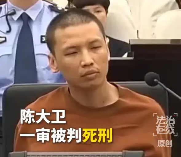 魏懷仁的外甥陳大衛利用自己掌控的武裝力量肆意殺人，造成 2 名中國公民死亡，因此遭法院判處死刑。&nbsp;&nbsp;&nbsp;圖:翻攝自搜狐