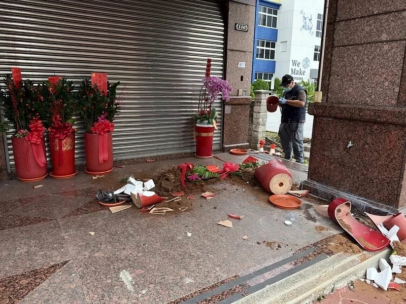 苗栗縣議員候選人競總盆栽遭破壞!警3小時逮人 供稱「看不爽盆栽」