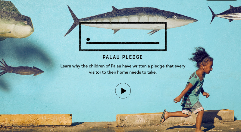 帛琉誓詞（Palau Pledge）官方自製互動網站，向全球遊客解釋為保護帛琉生態的重要。   圖：取自Palau Pledge網頁palaupledge.com