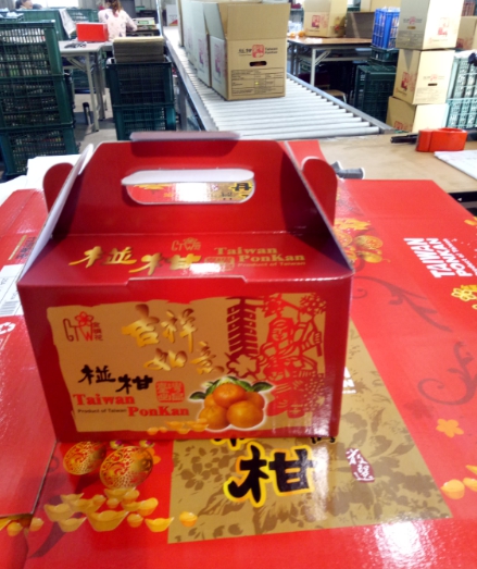 椪柑為過年應景果品，是海外華人新年期間缺一不可的年節水果。   圖：台中市政府/提供