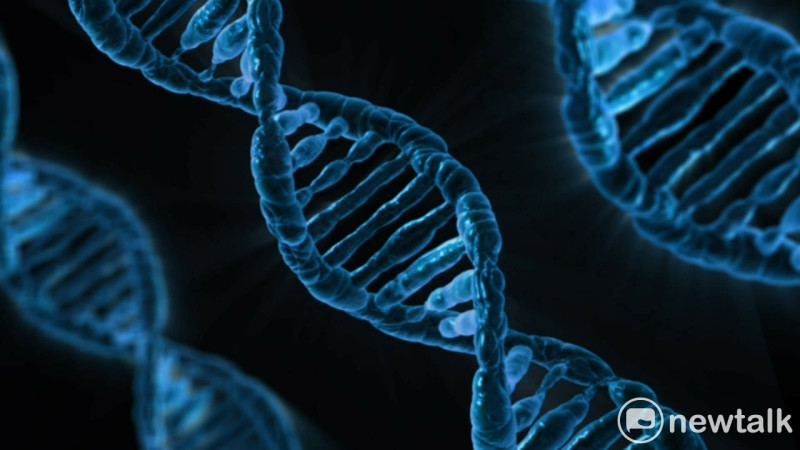 透過基因編輯器的幫助，未來將很有機會能夠治癒遺傳性耳聾的患者。   圖：翻攝自Pixabay