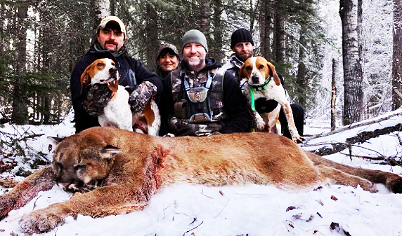 加拿大電視節目主持人艾克倫德合法獵殺一隻美洲獅並上傳炒獅肉照片後，今天遭逢反彈聲浪。   圖 : 翻攝自Steve Ecklund臉書