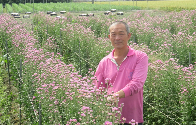 張慈閔種植花卉全採露天栽種，一半花卉一半水稻，他對友善農地有一套作法。   圖：台中市政府/提供