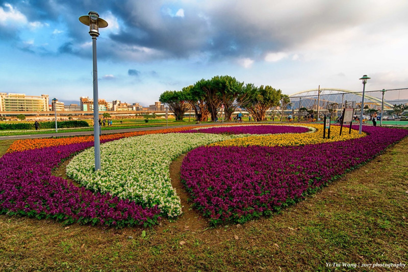觀山河濱花海由14萬盆花組成。   圖：台北市政府提供