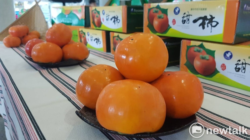 在11月中旬後，消費者可品嚐到味美、脆甜的摩天嶺優質甜柿。   圖 : 陳龍棋/攝