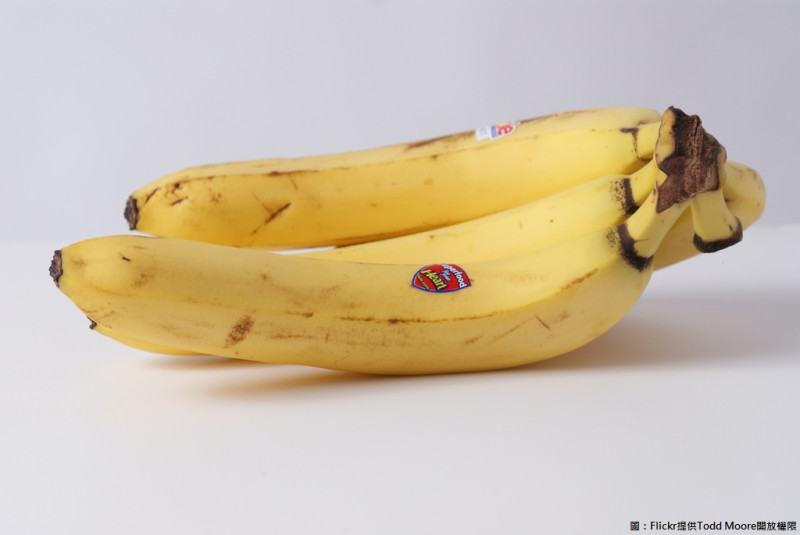 香蕉含有豐富的鈣質、鉀以及磷，不會傷骨頭反而會補鈣。   圖：Flickr提供Todd Moore開放權限