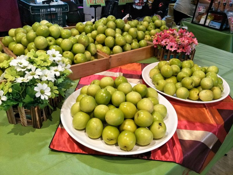每年的12月至隔年的3月，正是屏東蜜棗盛產時期。   圖：屏東縣農業處提供