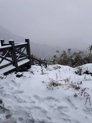 鋒面加上寒流，中央氣象局9日持續發布大雨特報和低溫特報，雪霸國家公園內海拔3886公尺的雪山山區9日凌晨2時許開始飄雪。   圖 : 仁愛警分局/提供