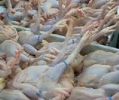 美國今天基本上贏得世界貿易組織（WTO）一項裁決，即認定中國繼續對美國肉雞產品課徵懲罰性關稅，未遵守WTO先前作出的判決。   圖 : 翻攝自中國冷凍製造網