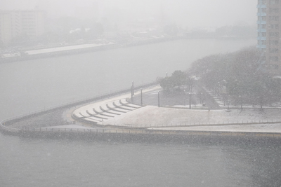 日本東京部分地區降大雪，部分河濱公園因積雪一片雪白。   圖 : 中央社