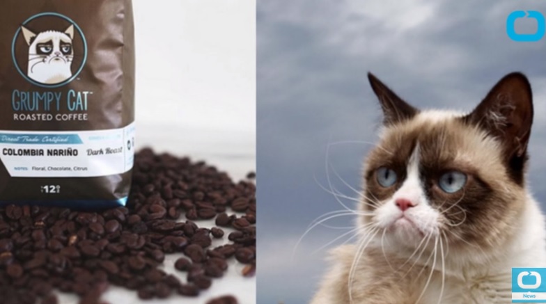 美國咖啡商Grenade Beverage因過度使用「不爽貓」肖像權，貓主人一狀告上法庭，最終打贏官司，獲賠71萬美元。   圖：翻攝youtube