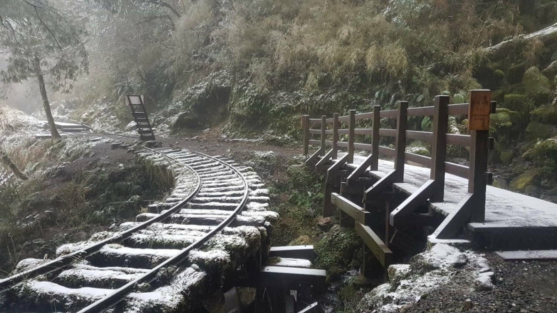 今天清晨9:00太平山國家森林遊樂區下起白雪！   圖：太平山國家森林遊樂區FB提供 賴木成／攝