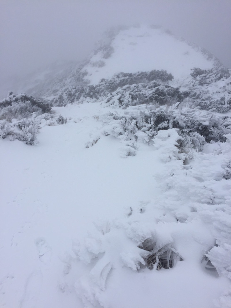 今晨玉山降雪共0.6公分，累積雪深8.6公分。   圖：中央氣象局