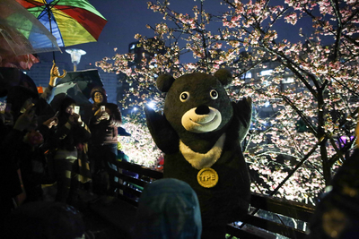 「2018樂活夜櫻季」3日晚間在台北市內湖樂活公園舉辦點燈儀式，台北市吉祥物「熊讚Bravo」也到場賞櫻，與民眾開心互動合影。   圖/中央社