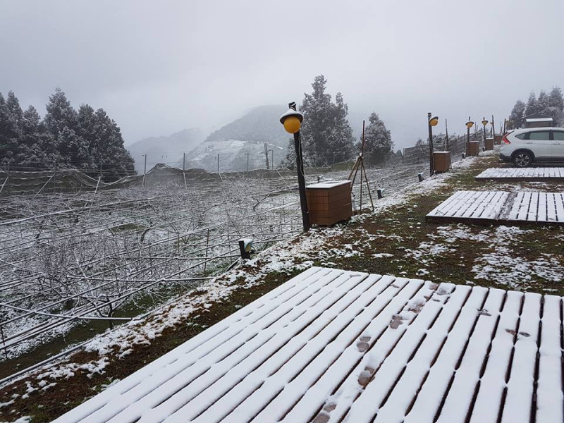 入冬最強寒流持續發威，拉拉山白雪一片。   圖：翻攝拉拉山恩愛農場臉書