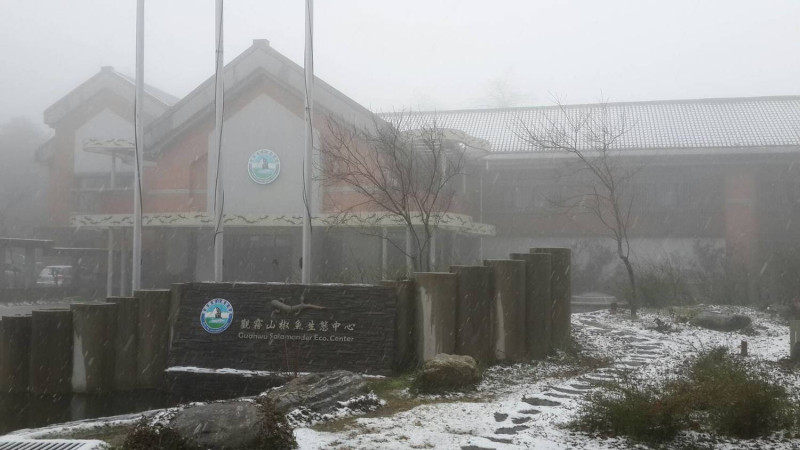今日上午7時許，苗栗縣雪霸國家公園觀霧遊憩區開始飄雪。   圖：《保七總隊》FB提供