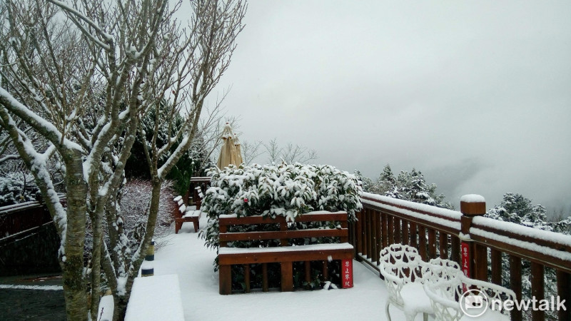 最強寒流持續發威，今(5)日桃園拉拉山雪景。   圖：呂耿正/攝