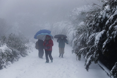 民眾徒步上大屯山賞雪。   圖：中央社