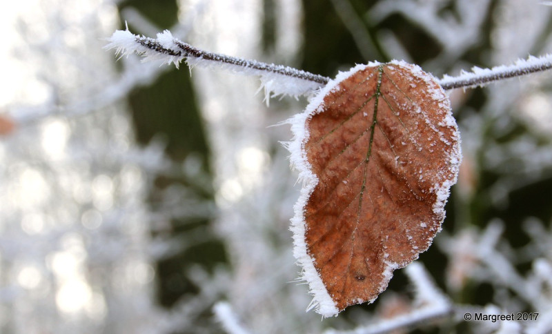今(6)天水氣減少，各地降雨、降雪趨緩，白天氣溫將有小幅上升，但整體感覺仍寒冷，保暖工作不可少。   圖：Flickr提供PROMargreet開放權限