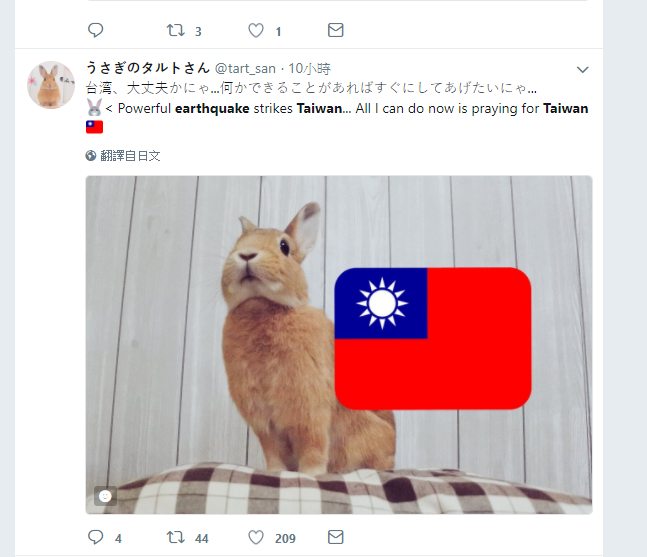 日本網友將愛寵照片加上台灣國旗幫忙祈福。   圖：翻攝自twitter