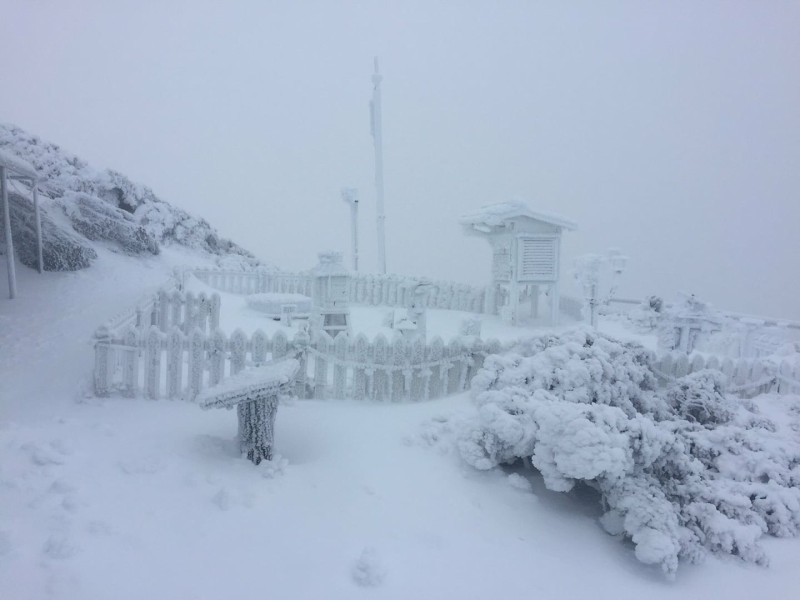 今(8)上午8時玉山觀測站測達累積雪深已達16公分。   圖：中央氣象局提供