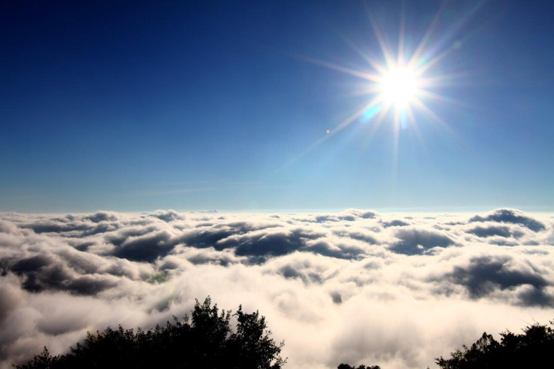 阿里山國家森林遊樂區的雲海，讓你有種俯瞰全世界的壯闊，不經為大自然之美而發出讚嘆。   圖 ：林務局提供