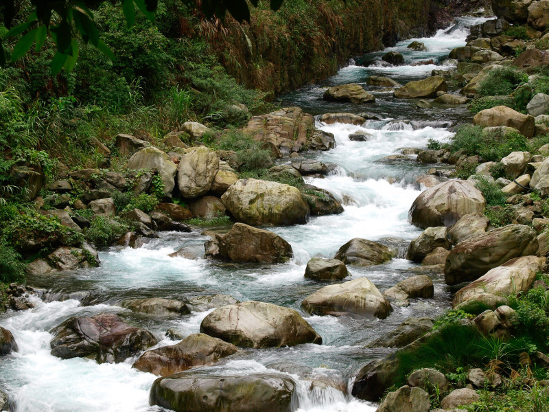 位於八仙山國家森林遊樂區十文溪，湍湍的溪水聲搭配山谷的鳥語聲，讓你不自覺步調放慢下來。   圖：林務局提供