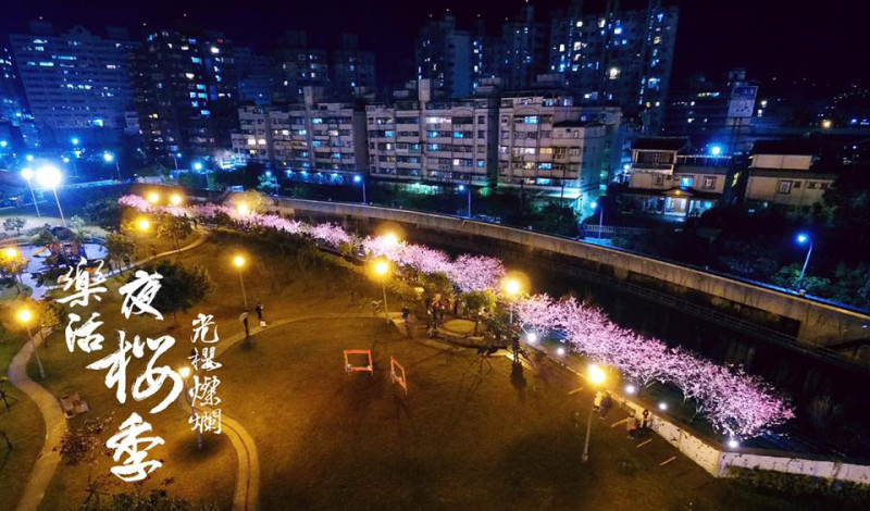內湖夜櫻季夜晚美景,相當壯麗浪漫! 圖:內湖樂活夜櫻季FB粉絲專頁/提供