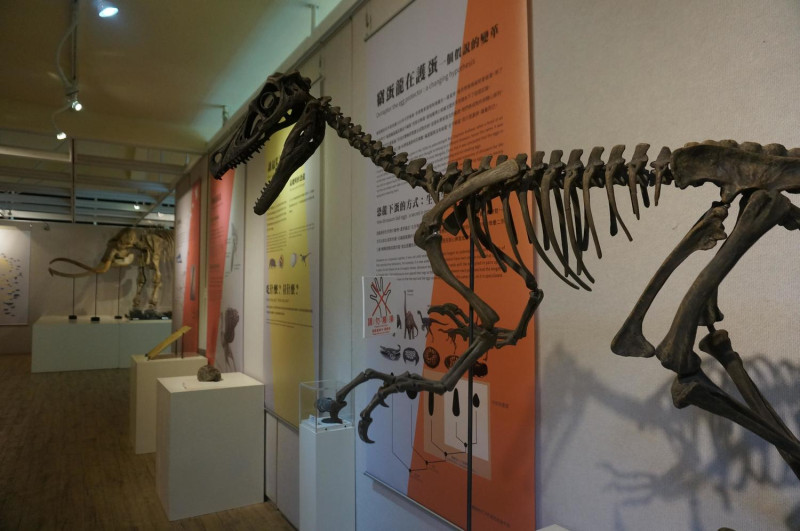 史前巨獸特展展出迅掠龍、長毛象等大型古生物模型。   圖：台灣博物館/提供