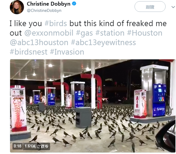 ABC13電視台主播克莉絲汀娜杜賓在加油站拍到一大群黑色小鳥佔據加油站的畫面，自稱「這嚇郅我了」。   圖：翻攝克莉絲汀娜杜賓推特