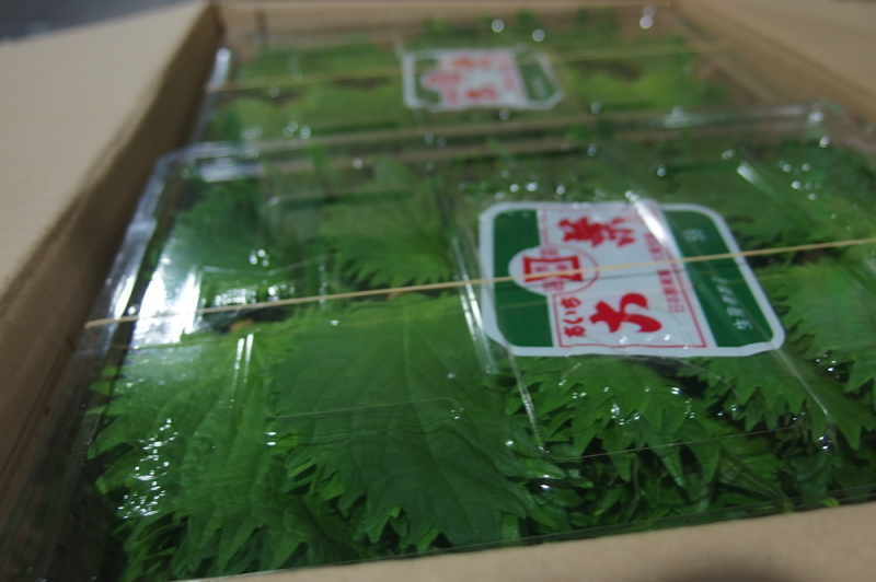 被驗出含有超標農藥的日本紫蘇葉。   圖：翻攝自食藥署網站