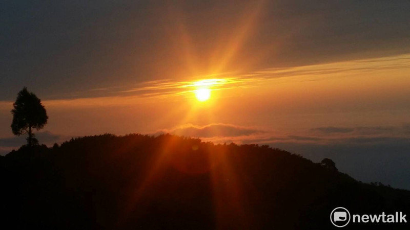 雲嶺之丘，夕陽從高端雲層和雲海間探出頭來，伴隨著山頭一顆孤松。   圖 : 謝步智/攝