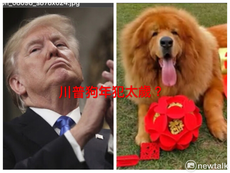 隨著農曆狗年將至，香港風水師周亦彤預測，1946年出生屬狗的美國總統川普，因為2018年是他的本命年犯太歲，所以運勢欠佳。   圖：新頭殻合成